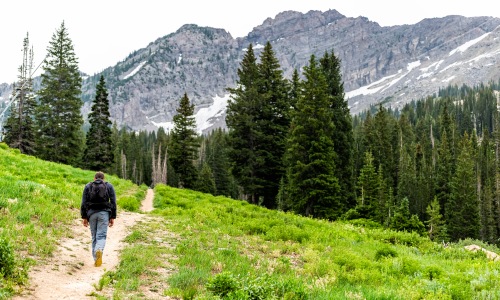 The Ultimate Guide to Hiking in Salt Lake City: Top Trails and Expert Tips  Cover Image
